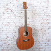 Martin D-X1E Mahogany Acoustic-Electric Guitar - Figured Mahogany - w/ Gigbag