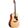 Ibanez AAD100OPN Advanced Acoustic Dreadnought- Open Pore Natural