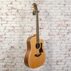 Taylor - DEMO 210ce - Acoustic-Electric Guitar - Walnut/Spruce - Natural - w/ Gigbag
