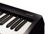 Roland - FP-10 - Digital Piano - Black