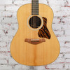 Taylor - Gold Label 717e - Acoustic-Electric Guitar - Indian Rosewood/Torrified Sitka - Natural - w/ Gold Label British Cocoa Hardshell Case - x5015