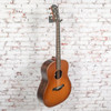 USED Taylor 717e Grand Pacific Builder's Edition V-Class - Wild Honey Burst