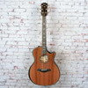Taylor - (2025) Builder's Edition 914ce - Acoustic-Electric Guitar - Honduran Rosewood/Sinker Redwood - w/ Hardshell Case - x5066