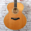 Taylor - 1999 W-15 Electric Acoustic Guitar - Natural - Made for NAMM show - w/OHSC