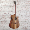 Ibanez - V40WSCEOPB - Acoustic-Electric Guitar w/ Cutaway - Natural Open Pore 