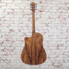 Ibanez - V40WSCEOPB - Acoustic-Electric Guitar w/ Cutaway - Natural Open Pore