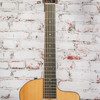 Taylor 254ce Plus 12-String - Natural