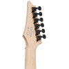 Ibanez - RG421DXTWS RG Series - Electric Guitar - Twilight Shade