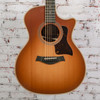 Taylor - Special Edition 414ce Studio Honeyburst - Rosewood/Spruce - Honey Sunburst Top - w/ Structured Gigbag - x6261