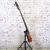 NS Design NXT5a Omni Bass w/Bag/stand
