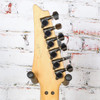 Ibanez RG 570 Sour Apple Sparkle Floyd w/HSC MIJ USED