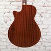 Ibanez - AEGA250 250th Anniversary - Acoustic-Electric Guitar