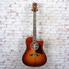 Gibson - Songwriter Recording Artist EC - Acoustic-Electric Guitar - Rosewood Burst - w/ Hardshell Case - x6041