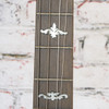 SS Stewart 1920s 17-Fret Tenor Banjo w/Arched Tone Ring w/OHSC VINTAGE