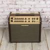 Fishman Artist X 1x8" 120W Solid-State Acoustic Guitar Combo Amplifier USED