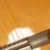 Francisco Navarro Garcia - 2010 Concert Model Nylon Acoustic Guitar Natural Cedar/Palo Escrito w/HSC - USED