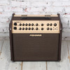 Fishman Loudbox Artist 2-Channel 1x8" 120W Solid-State Acoustic Guitar Combo Amplifier