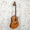Takamine - GD20CE - Dreadnought Electric Acoustic Guitar - Natural - USED