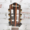 Ibanez - FRH10N Nylon-String Acoustic Electric Guitar Natural Flat - USED