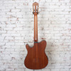 Ibanez - FRH10N Nylon-String Acoustic Electric Guitar Natural Flat - USED