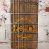 Schecter 2009 LTD C-1 Apocalypse Limited Graphic with OHSC USED