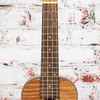 Ventura Ukulele V9FLMAHS with Bag USED