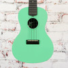 Kala - KA-R-WMS-GN-C - Recycled Waterman Concert Ukulele - Sea Foam Green
