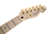 Fender Richie Kotzen Telecaster Maple FB Brown Sunburst