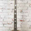 Aria - 1970s-80s MIJ 5-String Banjo - w/HSC - VINTAGE