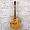 Breedlove - Discovery Concert CE Acoustic Guitar Natural w/Bag - USED