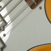 Reverend - Wattplower Mk I Mike Watt Signature Bass w/OHSC - USED