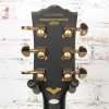 Firefly Elite Single Cut Electric Guitar Black Satin w/Yellow Stripe USED
