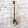 Unbranded - Dan Armstrong Style Acrylic Electric Guitar - Transparent w/EMG - USED