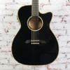 Alverez WY-1BK Black w/OHSC USED