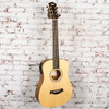 Taylor BT1e Baby Taylor w/ Electronics