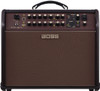 Boss Acoustic Singer Pro