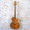 LTD 2017 TL-6 Z Acoustic Electric Guitar Zebrawood w/OHSC USED