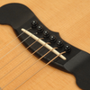 Planet Waves Black Bridge Pin Set w/ Ivory Dot