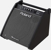 Roland PM-200 Monitor Speaker
