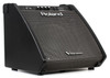 Roland PM-200 Monitor Speaker