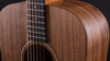 Taylor - Academy 20e - Acoustic-Electric Guitar - West African Crelicam Ebony Fretboard - Layered Walnut