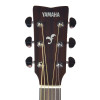 Yamaha - FS800 T - Concert Acoustic Guitar - Tinted Solid Top