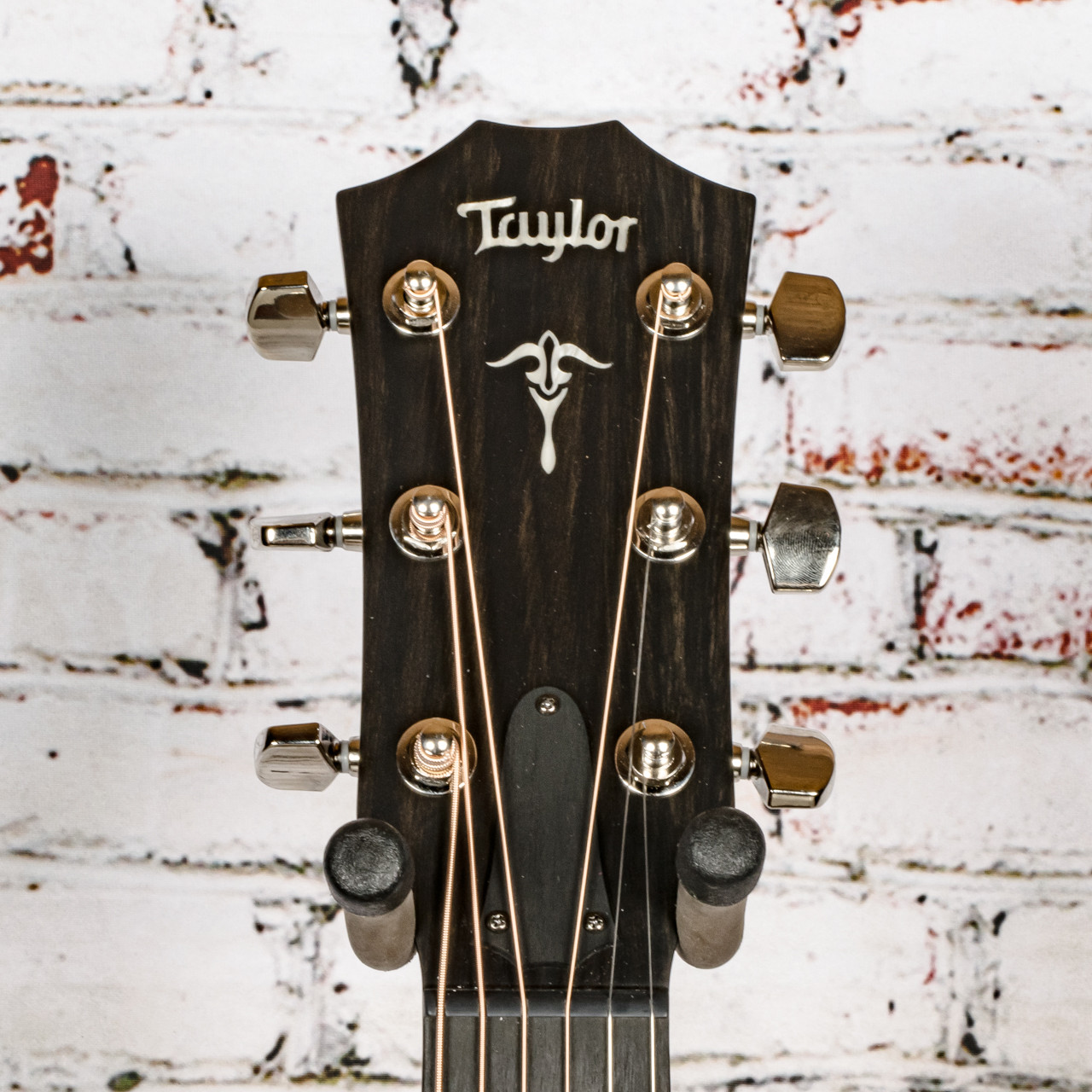 Taylor - 512ce - Grand Concert Acoustic-Electric Guitar