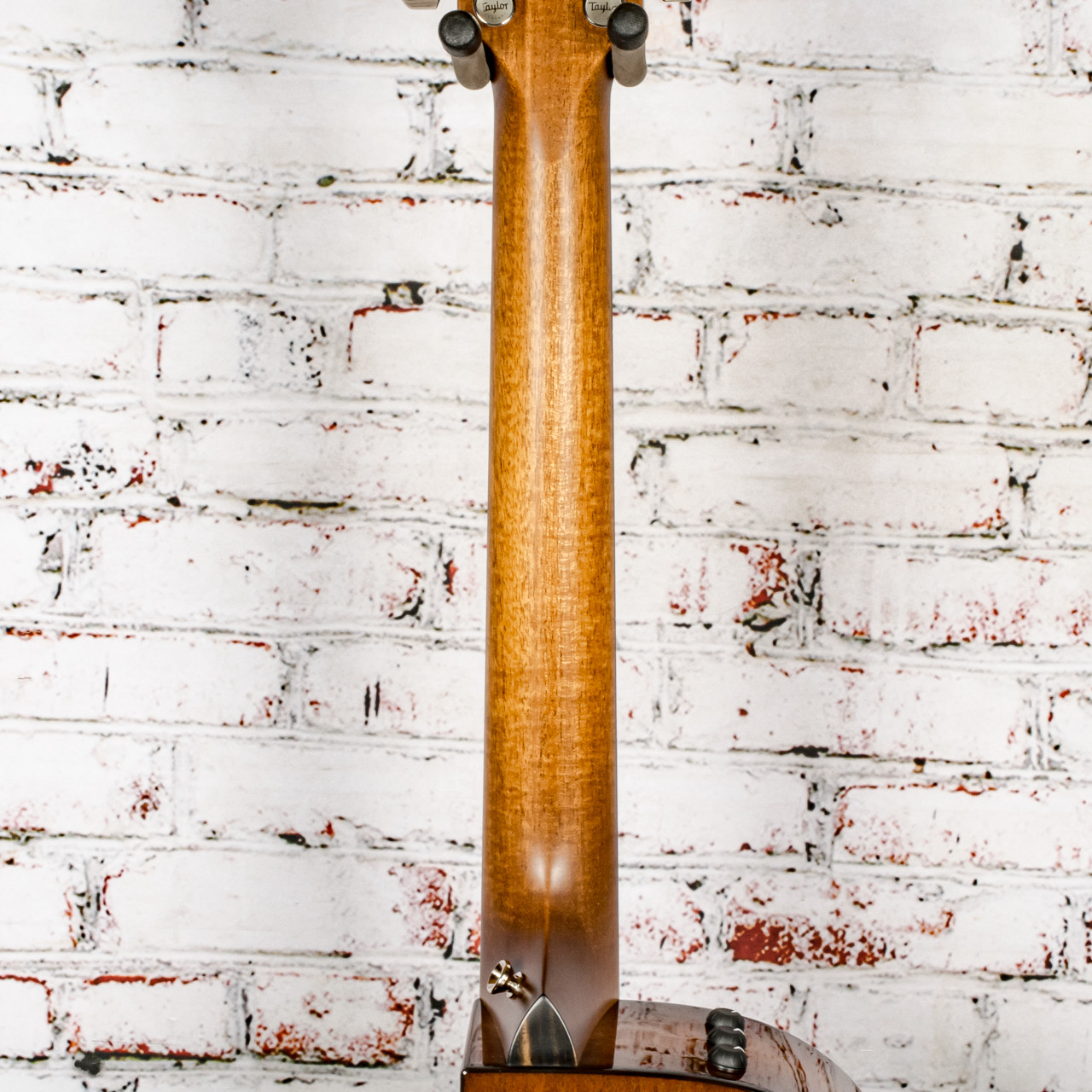 Taylor - 512ce - Grand Concert Acoustic-Electric Guitar