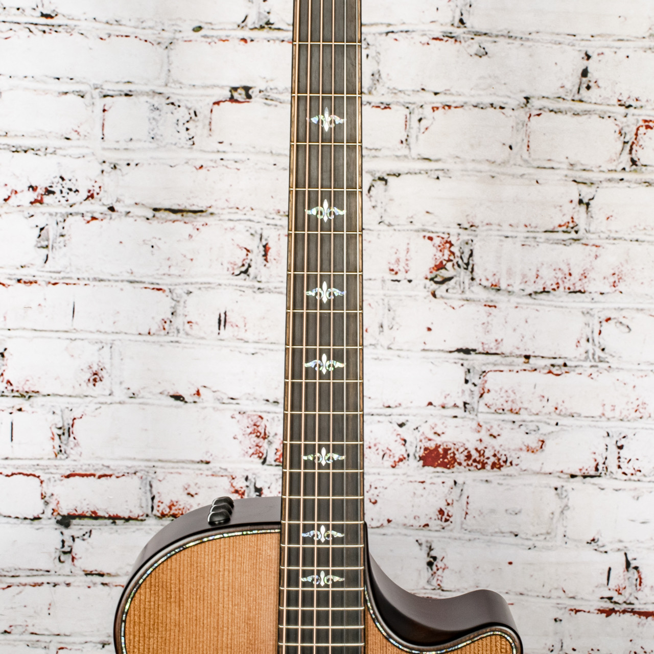 Taylor - 912ce Builders Edition - Acoustic-Electric Guitar - Wild