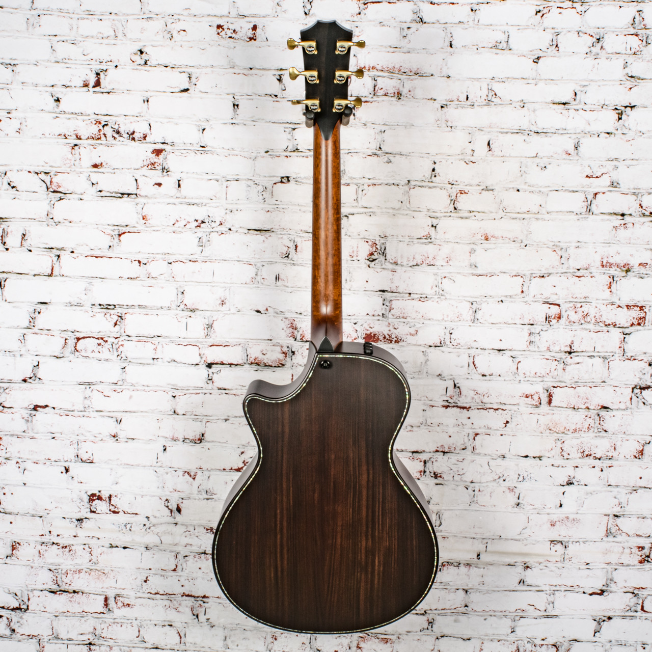 Taylor - 912ce Builders Edition - Acoustic-Electric Guitar - Wild
