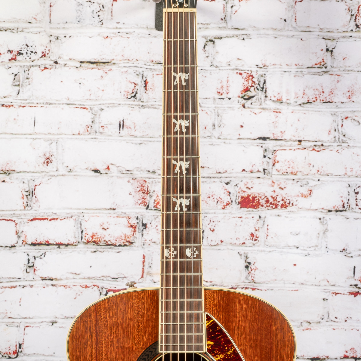 Fender - Tim Armstrong Signature Hellcat Acoustic Guitar - with