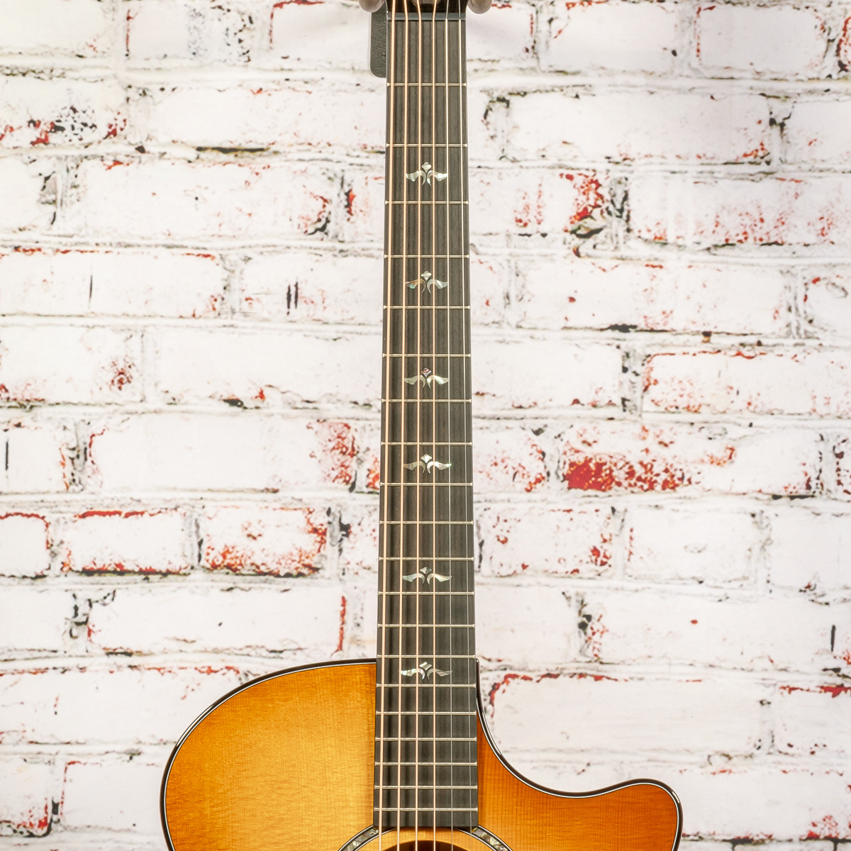 Taylor - 614ce Next Generation - Acoustic-Electric Guitar