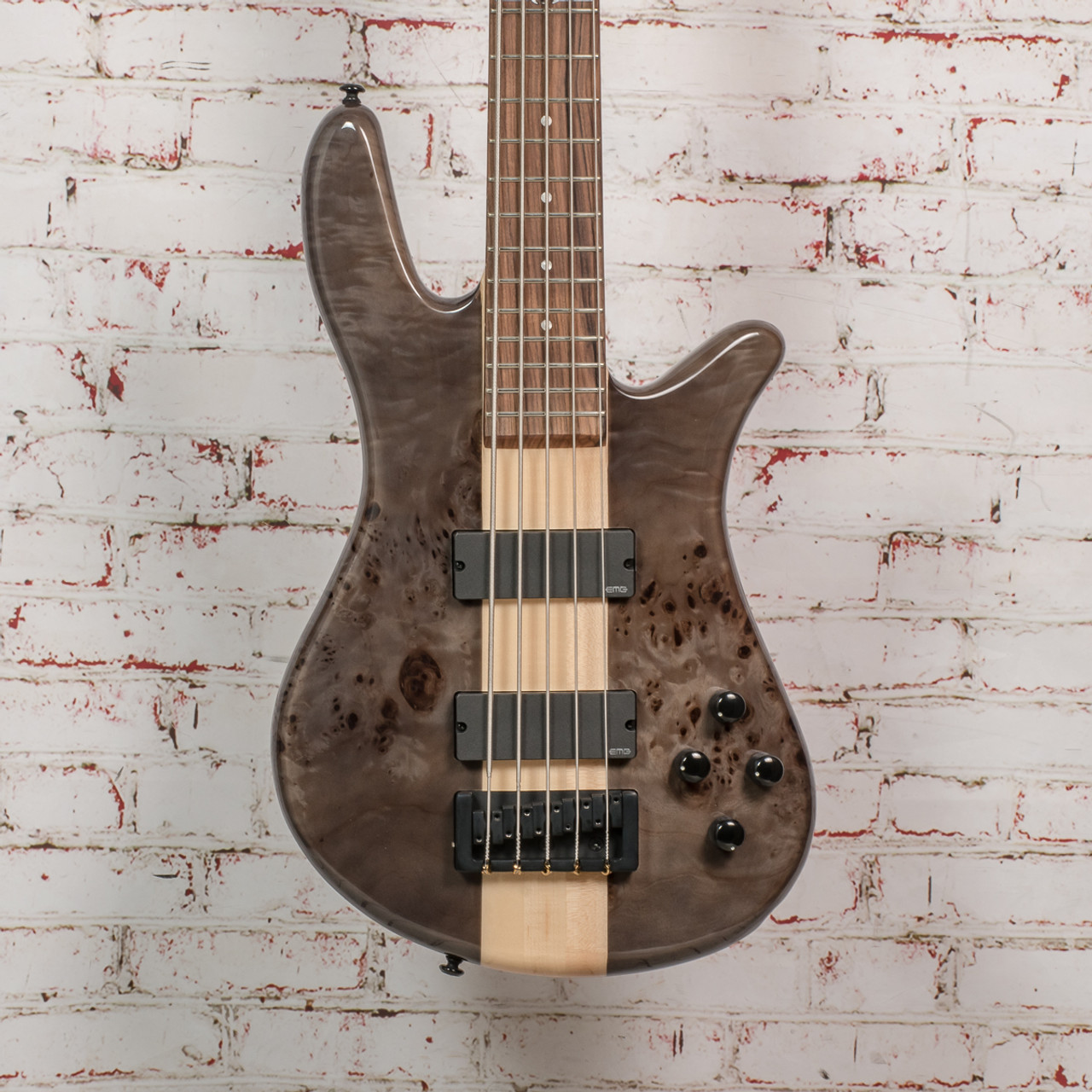 dan briggs spector bass