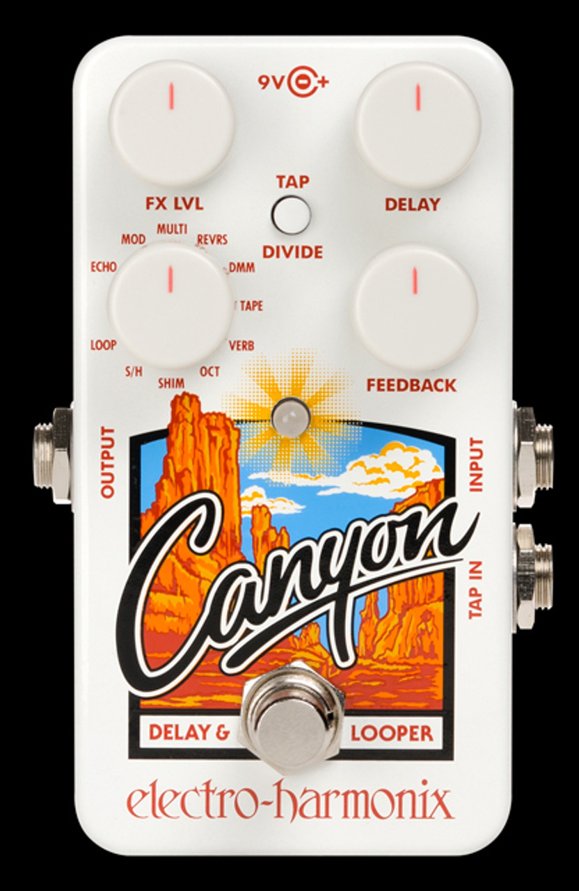 Electro Harmonix Canyon Delay and Looper Effect Pedal